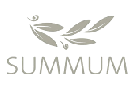 Logo Secundario